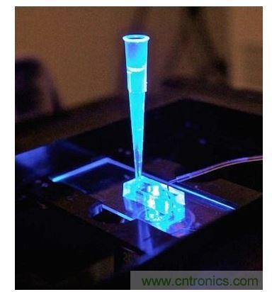 加州柏克萊大學所開發(fā)的&ldquo;心臟單芯片&rdquo;用以放置從成人干細胞產(chǎn)出的人類心臟組織，該系統(tǒng)有一天可望替代實驗動物應用于藥物安全篩檢