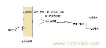 仿生傳感器的定義、原理、分類及應(yīng)用