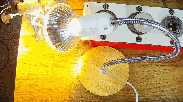 電燈泡內通有交流電，為什么看不到燈泡在閃爍？